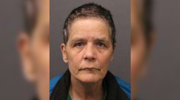 Ex Girl Guides Leader Georgina Historical Sexual Assault Allegations