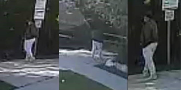 Halton Regional Police