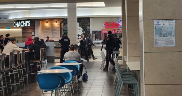 Teen Detained Airsoft Gun Discharge Winnipeg CF Polo Park Mall
