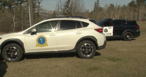 human remains Calgary investigation