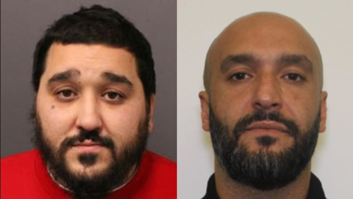 magic mushroom drug bust