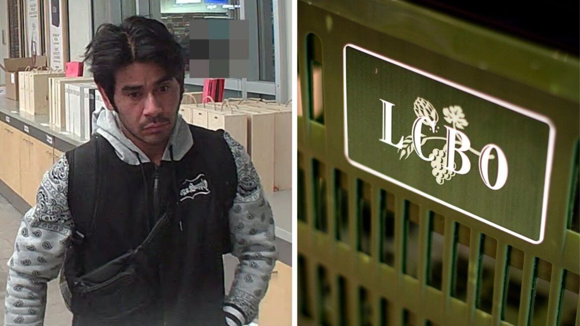 toronto man arrested for stealing alcohol from lcbo stores