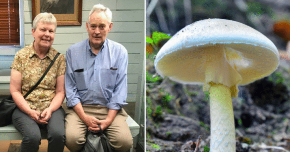 Erin Patterson Trial