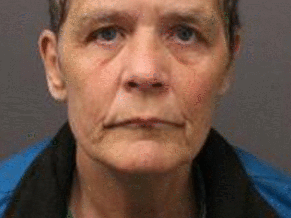 Georgina Former Girl Guides Leader Charged Sexual Assault Exploitation