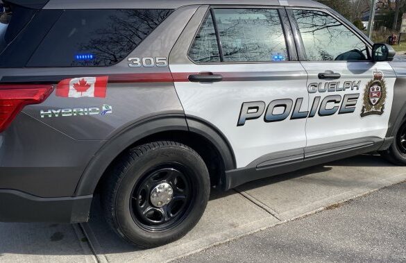 Guelph man charged with kidnapping and assault