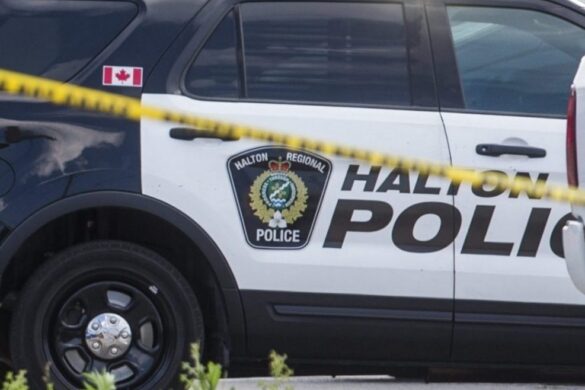 Muayad Al-Qaysi Arrested Armed Robbery Burlington Rogers Store