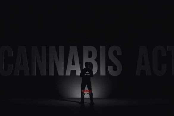 Tips to Prevent Cannabis Act – Possession