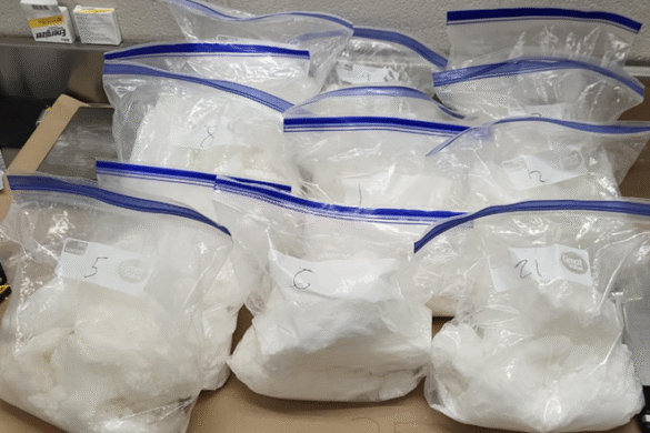Toronto Illegal Drugs Seizure