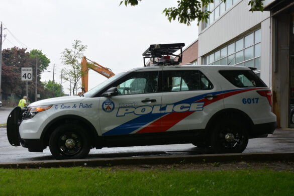 Toronto Magic Mushroom Dispensaries