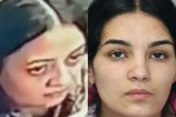 Toronto Police Sexual Assaults Thefts Scarborough Stores