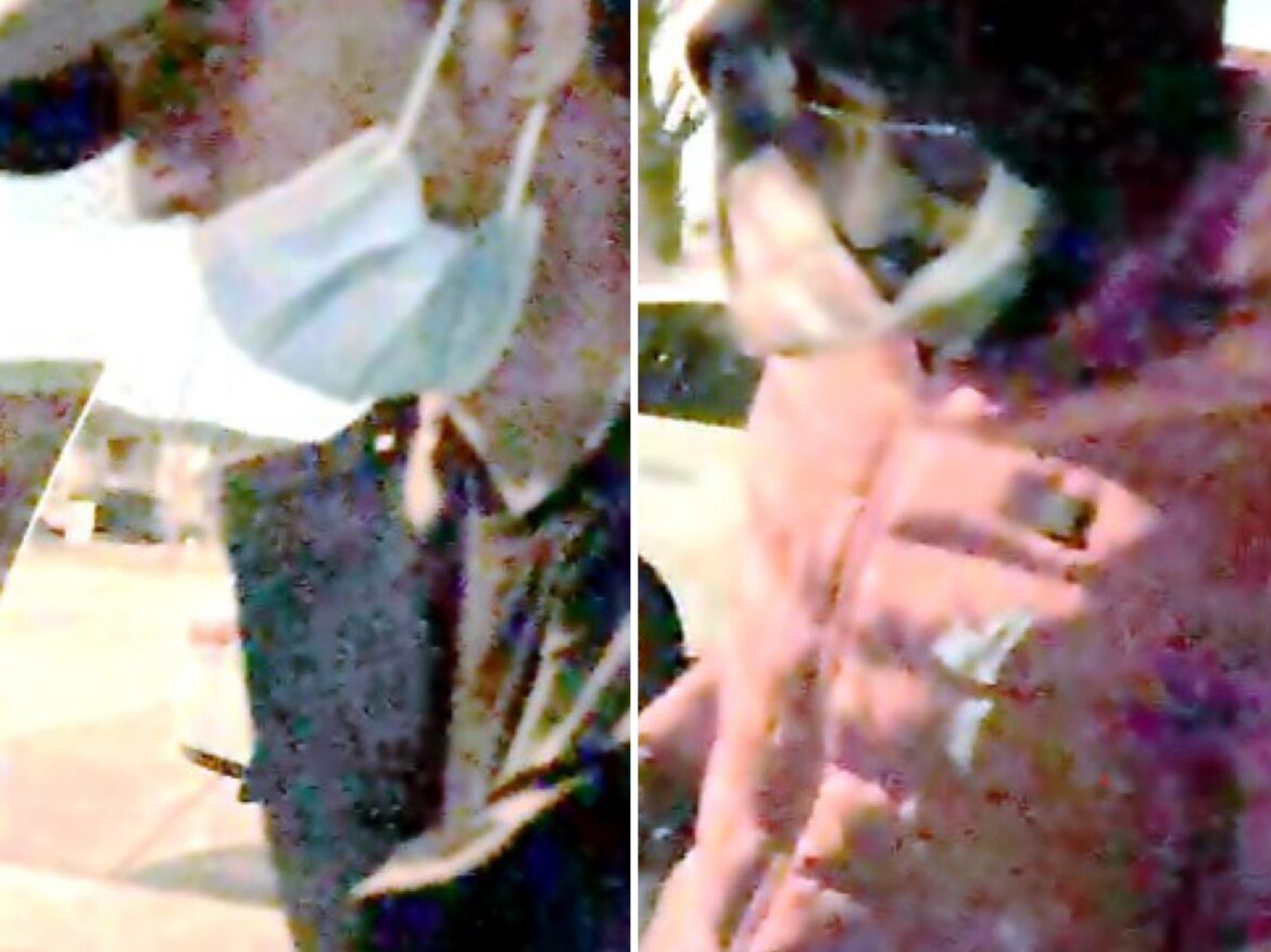 anti muslim vandalism etobicoke