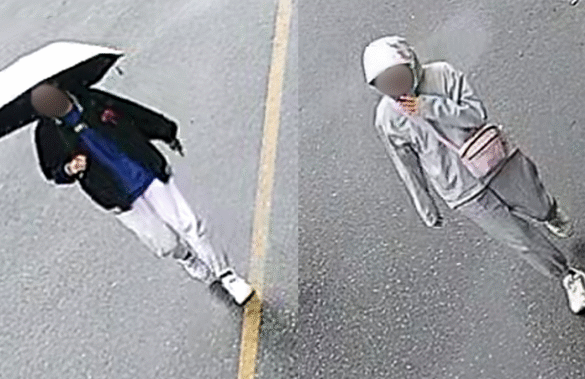 attempted kidnapping Richmond