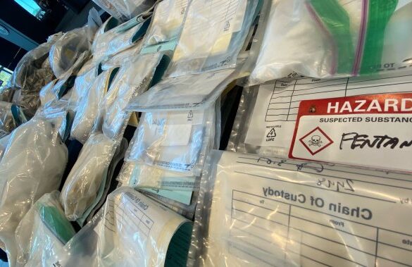 drug and gun bust