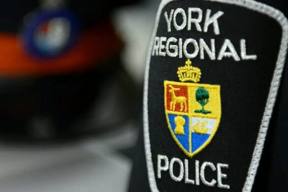 firearms and drug bust