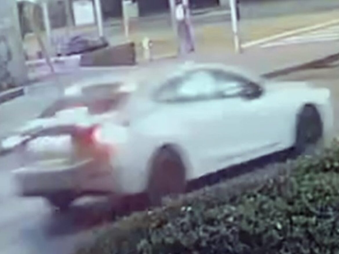 hit and run Etobicoke