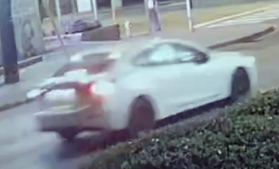 hit-and-run collisions Etobicoke