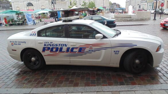 kingston couple bestiality animal endangerment