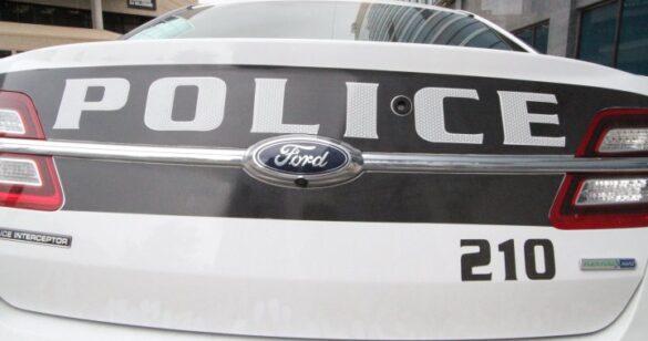 man arrested winnipeg animal abuse assault police officer