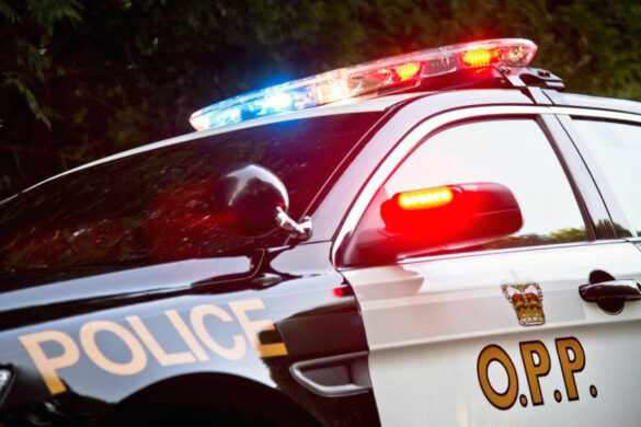 mississauga traffic stop