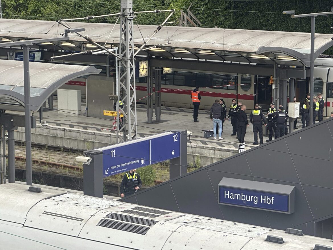 stabbing at hamburg central station
