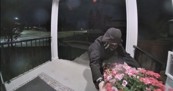 thief stealing flowers