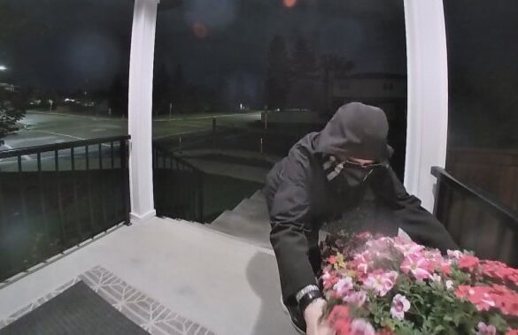 thief stealing flowers
