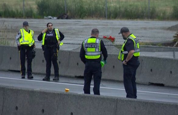 Fatal Pedestrian Collision