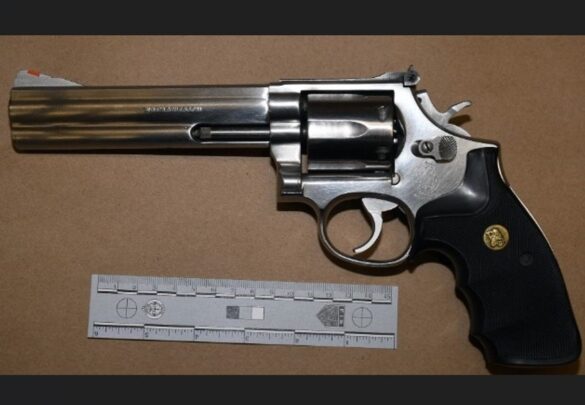 Handgun in North York Flemingdon Park