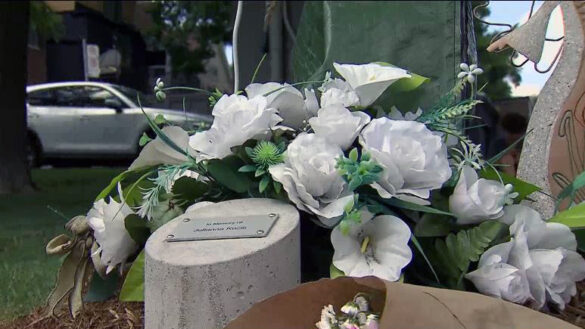 class action lawsuit against Smith and Wesson