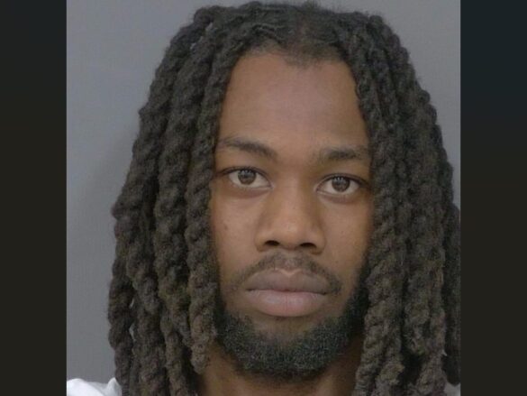 gun trafficking arrest