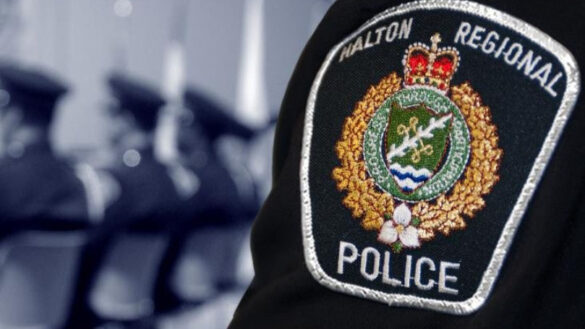 man from hamilton charged with indecent acts on go trains