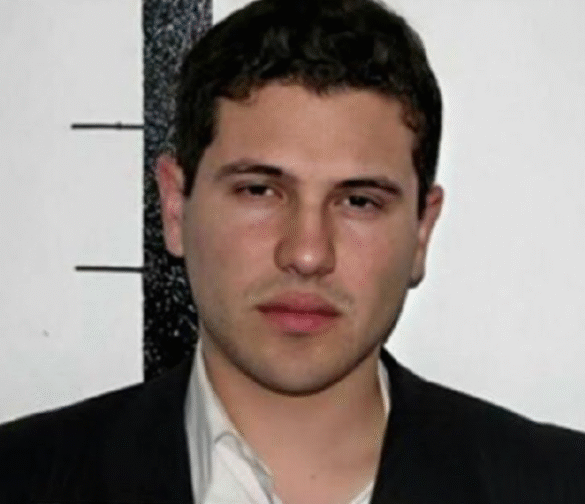 violent foreign fugitives