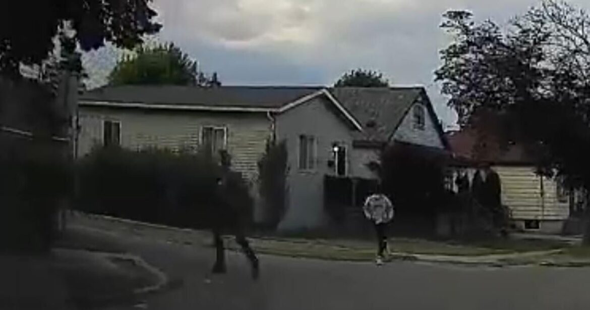 man shot driving truck barton street east hamilton